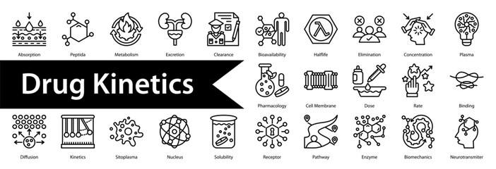 Drug Kinetics Icon Collection Set. Containing: 

Absorption,Peptida,Metabolism,Excretion,Clearance,Bioavailability,Half-life,Elimination,Concentration,Plasma,Pharmacology,Cell Membrane,Dose,Rate,