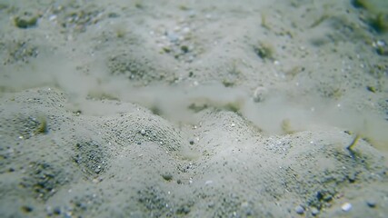 Textured sandy seabed underwater with small pebbles and a flowing cloud - Powered by Adobe