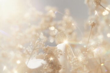 Delicate Floral Arrangement with Golden Light and Soft Focus Ideal for Backgrounds and Artistic Compositions with a Dreamy Aesthetic