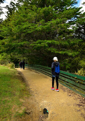 Fototapeta premium A woman with backpack walking to Whangarei falls in Whangarei, New Zealand.