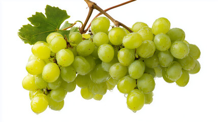 Green grape cluster hanging on vine, close-up view displaying plump, fresh produce against transparent background -