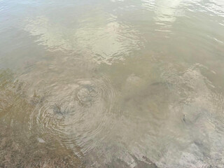 sea water surface with a small waves