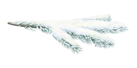 A Christmas Tree branch covered with Snow. Watercolor illustration of a fir winter plant. Hand drawn vintage sketch on white isolated background. Water color painting clip art image