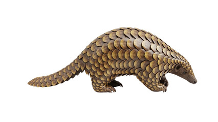 A full body shot of a pangolin with detailed overlapping brown and gold scales, isolated on a white background.