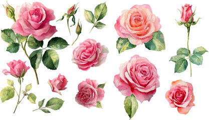 seamless pattern with roses