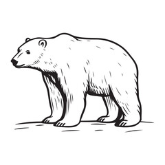Obraz premium Simple a Bear line art vector design white background
