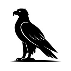 eagle on a white background
