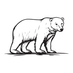 Simple a Bear line art vector design white background