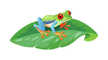 Red eyed tree frog illustration vector graphic amphibian tropical rainforest animal on leaf exotic pet art