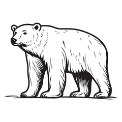 Obraz premium Simple a Bear line art vector design white background