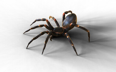 3d Illustration of a vivid close-up of a spider tarantula moving gracefully, showcasing hairy legs and intricate patterns.