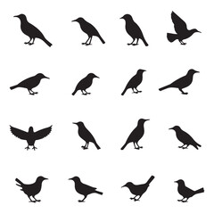 Silhouette Bird Icon Set Featuring Distinct Species in Clean Minimal Vector Style Layout. 
