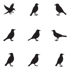 Silhouette Bird Icon Set Featuring Distinct Species in Clean Minimal Vector Style Layout. 