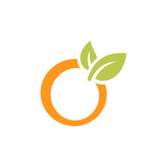 letter O orange company logo vector illustration template design
