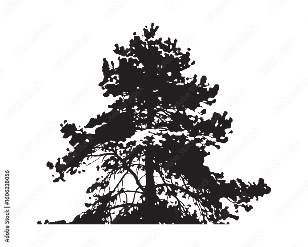 Aufkleber a silhouette of a coniferous tree with detailed branches against a white background in vector format
