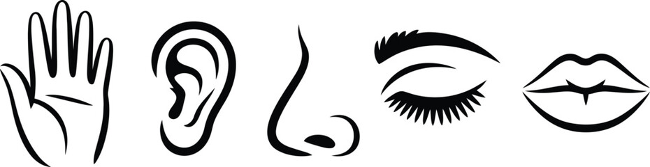 Five Senses Line Art Hand, Ear, Nose, Eye and Mouth Isolated on White