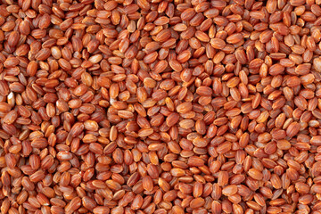 赤米のクローズアップ