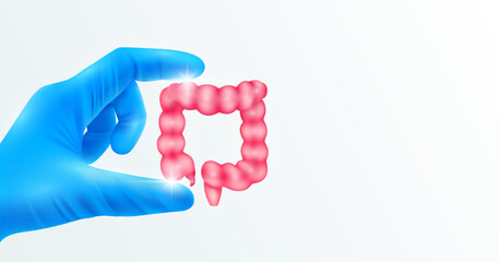 Doctor's hand in blue gloves holding intestine. Shows human organ model close up on white background with blank space for your text. Medical health care analyzes. Vector realistic images.