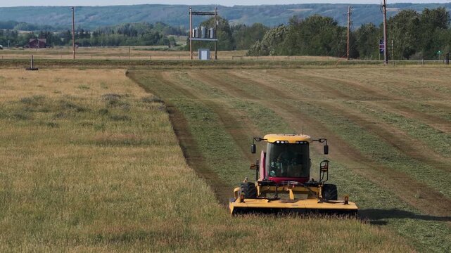 Ariel video of a swather cutting down alfalfa hay