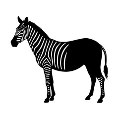 Fototapeta premium Standing zebra mammal wildlife animal safari stripes vector art silhouette