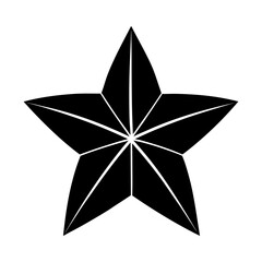 Obraz premium Star graphic vector pentagram shape design element template silhouette