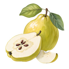 quince fruit icon isolated on a white background