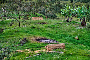 Ecological damage in lush green landscape with cut timber and scorched earth, showcasing...