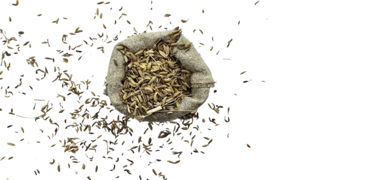 A burlap sack filled with light brown material surrounded by scattered dark brown pieces on a white surface