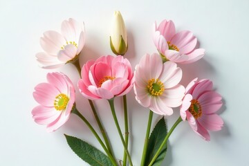 Fototapeta premium A Delicate Bouquet of Pale Pink Blossoms Arranged on a Smooth Surface