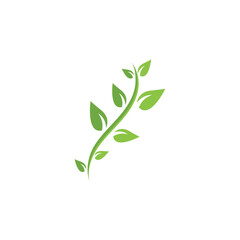 green leaf logo