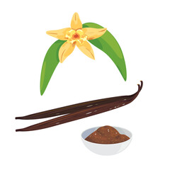 vanilla flavor