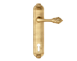 Elegant polished brass door handle with keyhole plate