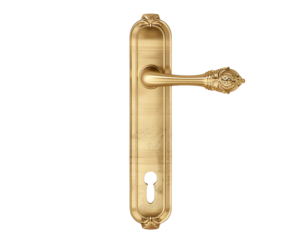 Elegant polished brass door handle with keyhole plate