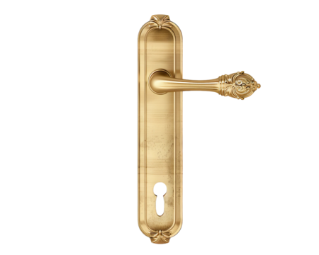 Elegant polished brass door handle with keyhole plate