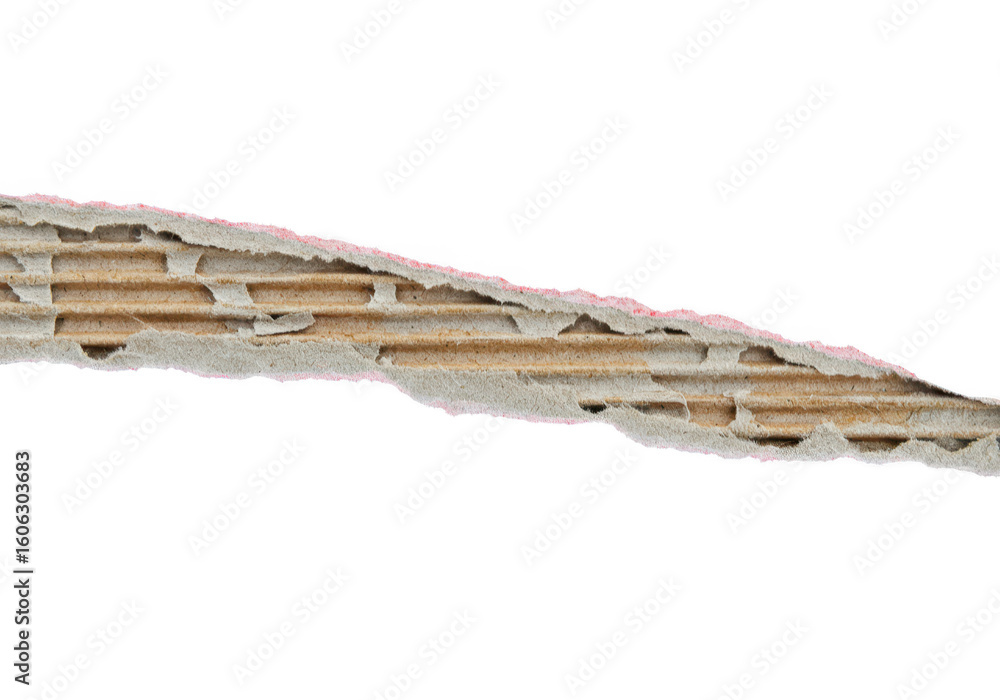 Poster diagonal torn corrugated cardboard strip with layered structure and rough edges isolated on white is