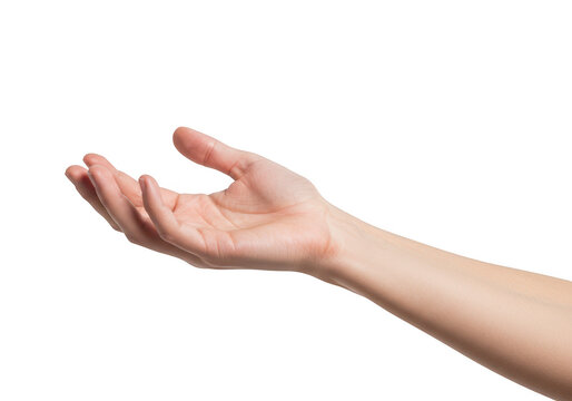An open human hand palm facing upwards and extended forward isolated against a clean transparent background