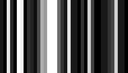 Bande noires et blanche