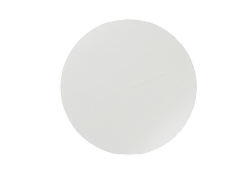 A plain white circle or disc isolated on a clean transparent background