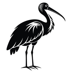 Elegant Silhouette of a Striking Ibis Bird A Detailed Vector Illustration of Wildlife and Nature Artistry
