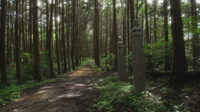 高野参詣道 町石道 144町石「一里石」和歌山県かつらぎ町　Historic Ichiri-ishi Milestone &ndash; 144th Stone Marker on the Koyasan Choishi-michi Trail, Katsuragi, Wakayama Prefecture