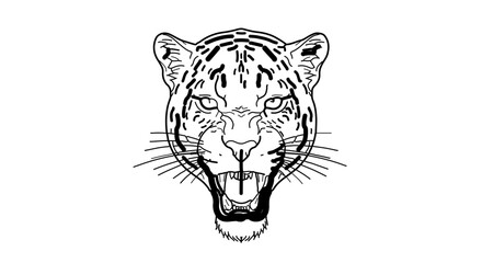 Jaguar face drawing vector illustration black and white line art predatory animal wild cat feline outline design 100