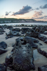 Rock formations on sandy shore at Praia dos Golfinhos Pipa Brazil