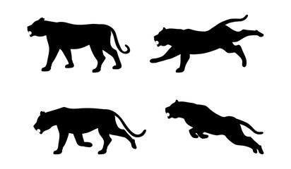 Vector silhouette of a tiger, a ferocious predator in jumping, running and walking poses.