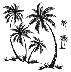 Vector  silhouette illustration of several palm trees of varying sizes with grassy ground cover and white background