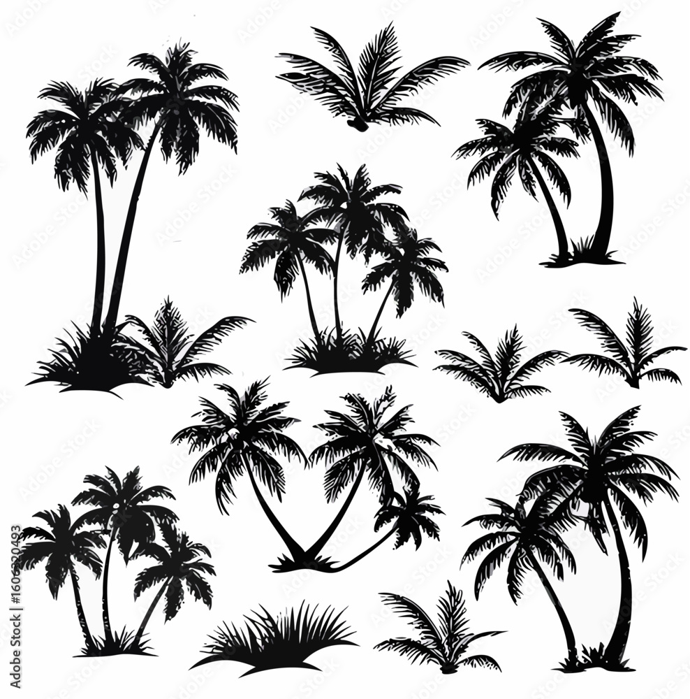Poster vector collection of silhouette palm trees and tropical foliage arranged on a white background in a 