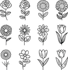 Outlined floral vector pack in clean stroke style. Includes tulips, daisies, rose and abstract flowers vector