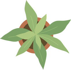 Top view plant landscape design element