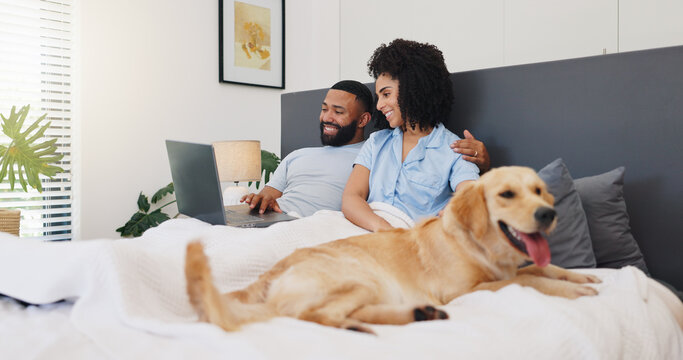 Smile, couple and laptop with dog on bed for research, online application and pet insurance. Happy, people and Labrador breed with PC for animal health cover, premium benefits and vet claims at house - Powered by Adobe