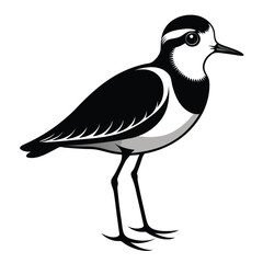 Obraz premium Monochromatic Bird Illustration Detailed Black and White Shorebird with Clean Lines and Elegant Design Suitable for Various Creative Applications