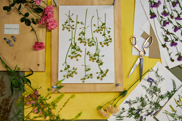 Top view of yellow wildflowers arranged in a flower press on a vibrant yellow table, surrounded by...